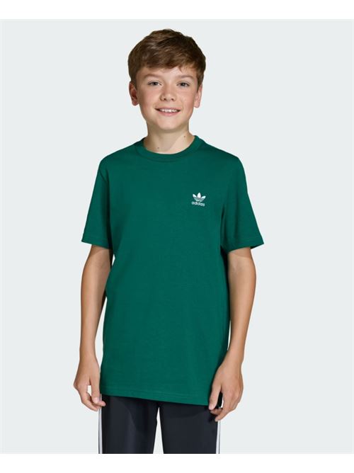 tee ADIDAS ORIGINAL | KE0450CGREEN